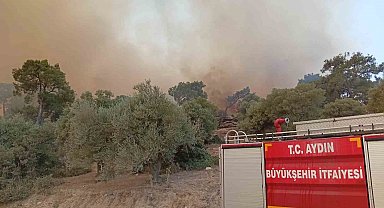 İtfaiye erleri alevlerin arasında kalan kaplumbağayı böyle kurtardı