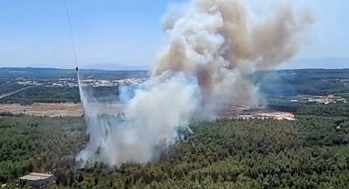 İzmir Buca'da orman yangını çıktı