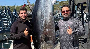 İzmir'de 260 kiloluk dev orkinos yakalandı
