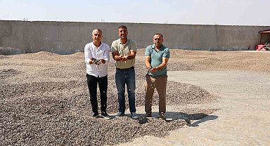 Kahramanmaraş'ta ay çekirdeği hasadı