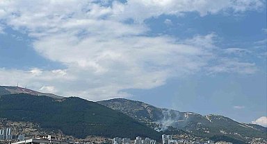 Kahramanmaraş'ta çıkan orman yangını kontrol altına alındı