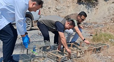 Kahramanmaraş'ta kaçak saka kuşu avına operasyon: 175 kuş kurtarıldı