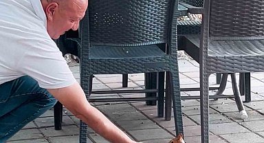 Kahvehaneye gelen sincabı elleriyle besledi