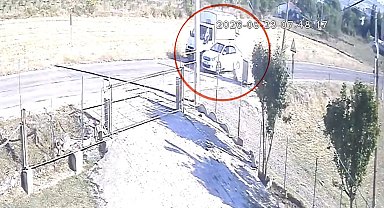Kamyoneti sollayan otomobil başıboş sokak köpeğine çarptı: O anlar kamerada