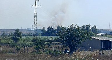 Karacabey'de makilik alanda orman yangını