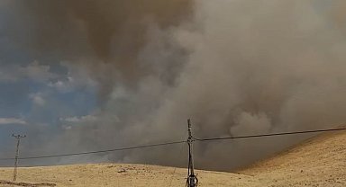 Karakoçan'da örtü yangını