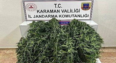 Karaman'da jandarmanın yakaladığı 44 şahıstan 9'u tutuklandı