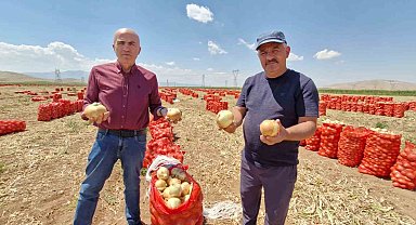 Karaman'da yazlık soğan üreticisinin yüzünü güldürüyor
