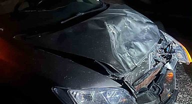 Karayolda aniden çıkan eşek kazaya neden oldu