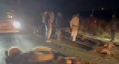 Kargo aracı koyun sürüsüne çarptı: Onlarca hayvan telef oldu