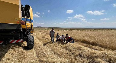 Kars'ta biçerdöver hasadı kontrolleri sıklaştırıldı