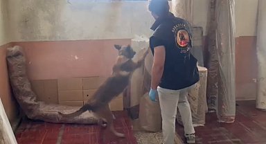 Kastamonu'da 19 ayrı noktada eş zamanlı narkotik operasyonu: 15 gözaltı