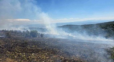 Kastamonu'da çıkan orman yangını kontrol altına alındı