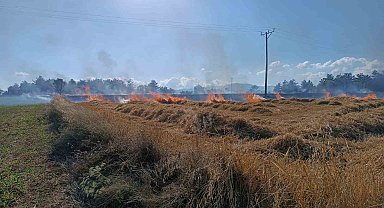 Kastamonu'da çıkan yangında 13 dönümlük tarar zarar gördü