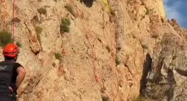Kayalıklarda mahsur kalan keçiler 4 gün sonra kurtarıldı