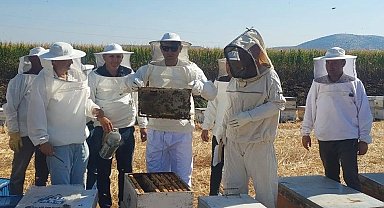 Kaymakam Özcan bal hasadına katıldı