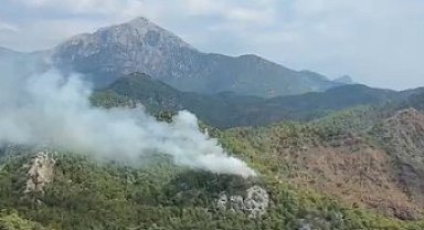 Kemer'de orman yangını