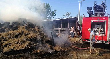 Keşan'da 1,5 saat içerisinde çıkan 5 yangın söndürüldü
