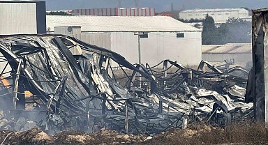 Kocaeli'de kimya fabrikasında yangın: 2 işçi yaralandı, 2 at telef oldu