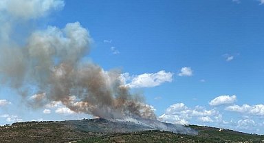 Kocaeli'deki orman yangını havadan ve karadan müdahaleyle söndürüldü