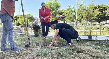 Konut dokunulmazlığını ihlal etti, adliye bahçesine 10 fidan dikti