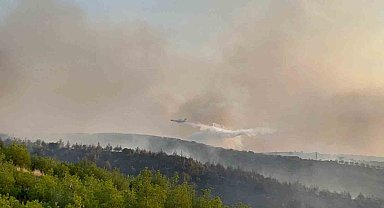 Kula'daki orman yangınına havadan ve karadan müdahale sürüyor