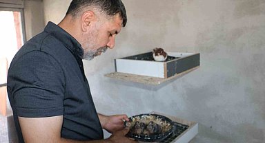 Küllerinden doğan güvercin oteli yeniden kapılarını açtı