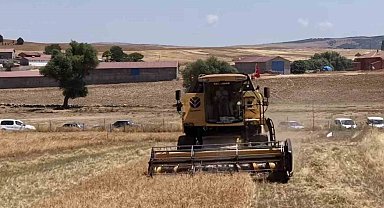 Kütahya'da 18 farklı nohut çeşidi aynı tarlada tanıtıldı