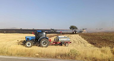 Kütahya'da anız yangınında 230 dekarlık alan yandı