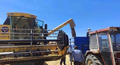 Kütahya'da yerli ve milli tohumlarda nohut hasadı gerçekleştirildi