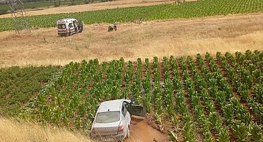 Malatya'da otomobil tütün tarlasına düştü: 3 yaralı