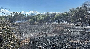 Manavgat'ta boğaz mendirek yolunda korkutan yangın