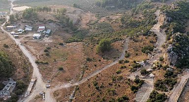 Manavgat'ta sokak hayvanlarına 75 dönümlük yaşam alanı