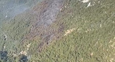 Manavgat'taki orman yangını kontrol altına alındı