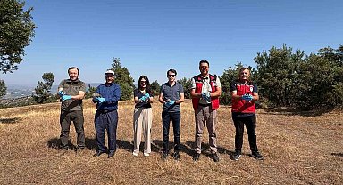 Manisa Gördes'te ekolojik denge için doğaya 500 keklik bırakıldı