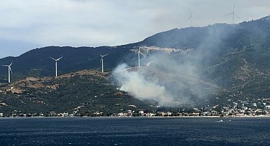 Marmara'da orman yangınına neden olan şüpheli gözaltına alındı