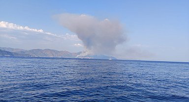 Marmaris'te orman yangını