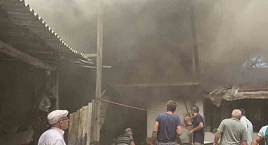 Menteşe'de ev yangını