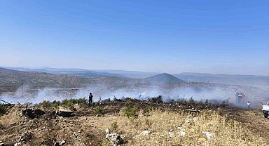 Menteşe'de makilik yangını