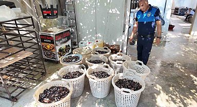 Mersin'de 200 kilo bozuk midye dolması ele geçirildi