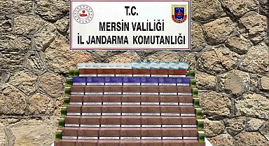 Mersin'de 3 bin 850 paket kaçak elektronik tütün ele geçirildi