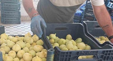 Mersin'de beyaz incirde 'yok yılı': Rekoltenin 90 bin tondan 30 bin tona düşmesi bekleniyor