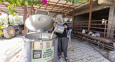 Mersin'de üreticiye yüzde 50 hibeli süt soğutma tankı desteği