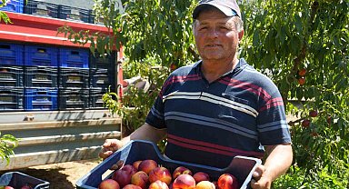 Meyve suyu fabrikaları üreticiden aldıkları ürünün fiyatları iyice dibe vurdu