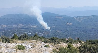 Muğla'da orman yangını