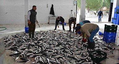 Muğla'nın Temmuz ayı ihracatı 142 milyon dolara ulaştı