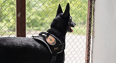 Narkotik operasyonlarının kahramanı narkotik köpeği emekli oldu