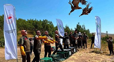 Nemrut Kalderası Milli Parkı'nda 5 yaban hayvanı doğaya salındı