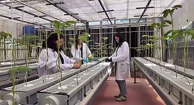 NÖHÜ'de tarımın geleceği teknolojiyle şekilleniyor