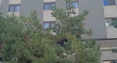 Öğretmenevi duvarından kopan beton parçaları korkuttu